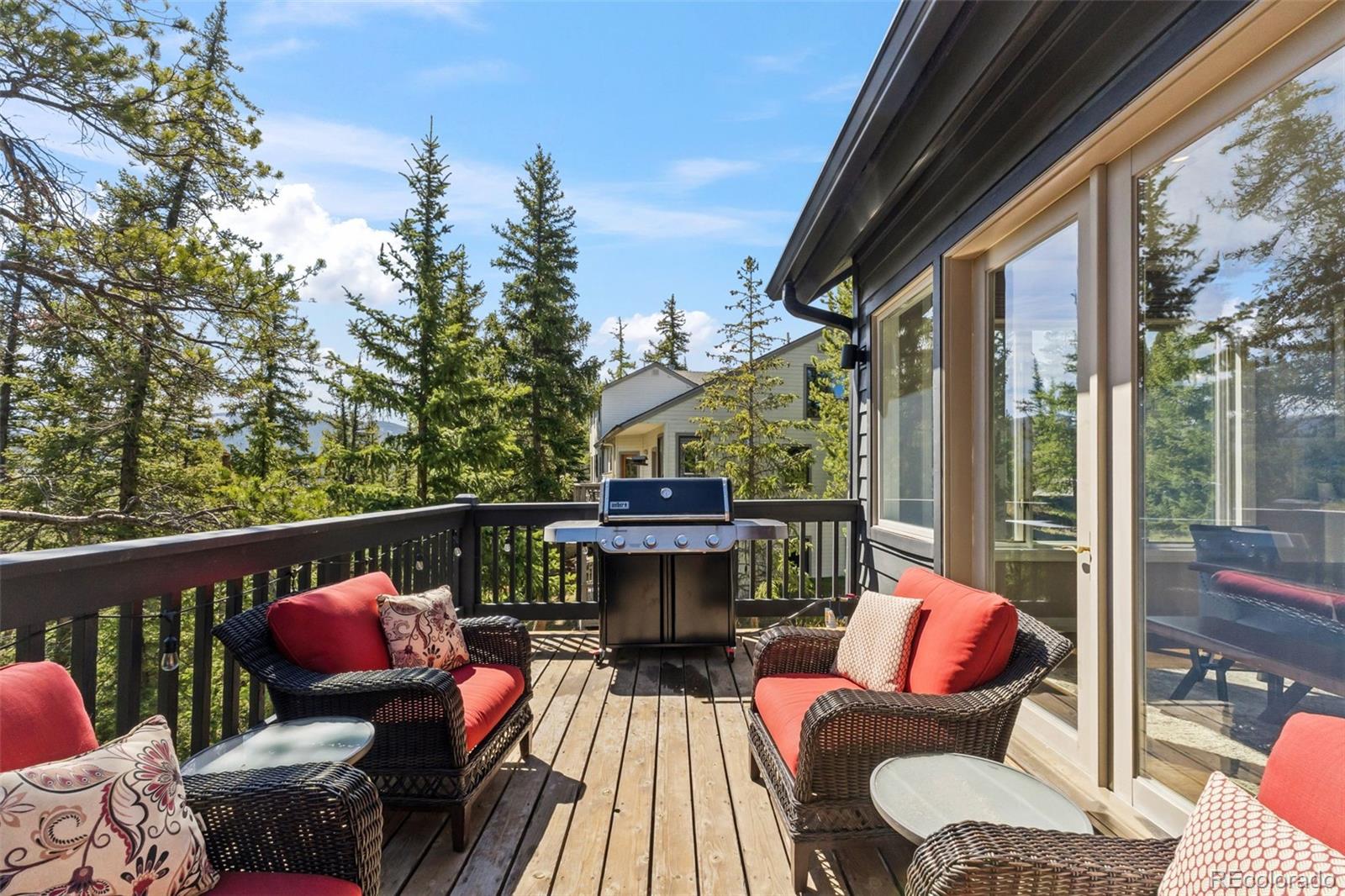MLS Image #7 for 162  high meadow drive,dillon, Colorado