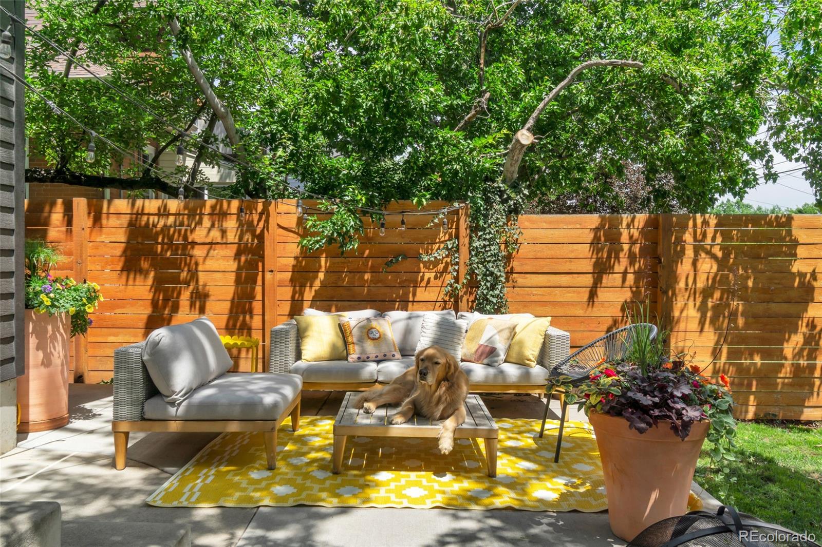 MLS Image #24 for 4030  wyandot street,denver, Colorado