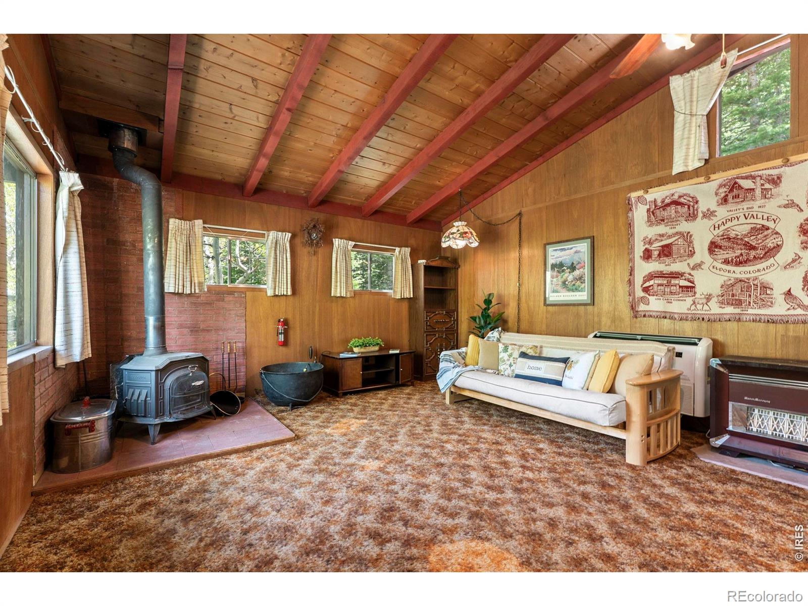 MLS Image #4 for 702  bryan avenue,nederland, Colorado