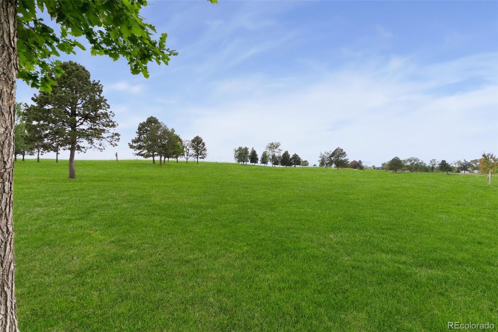MLS Image #17 for 7889  york street,denver, Colorado