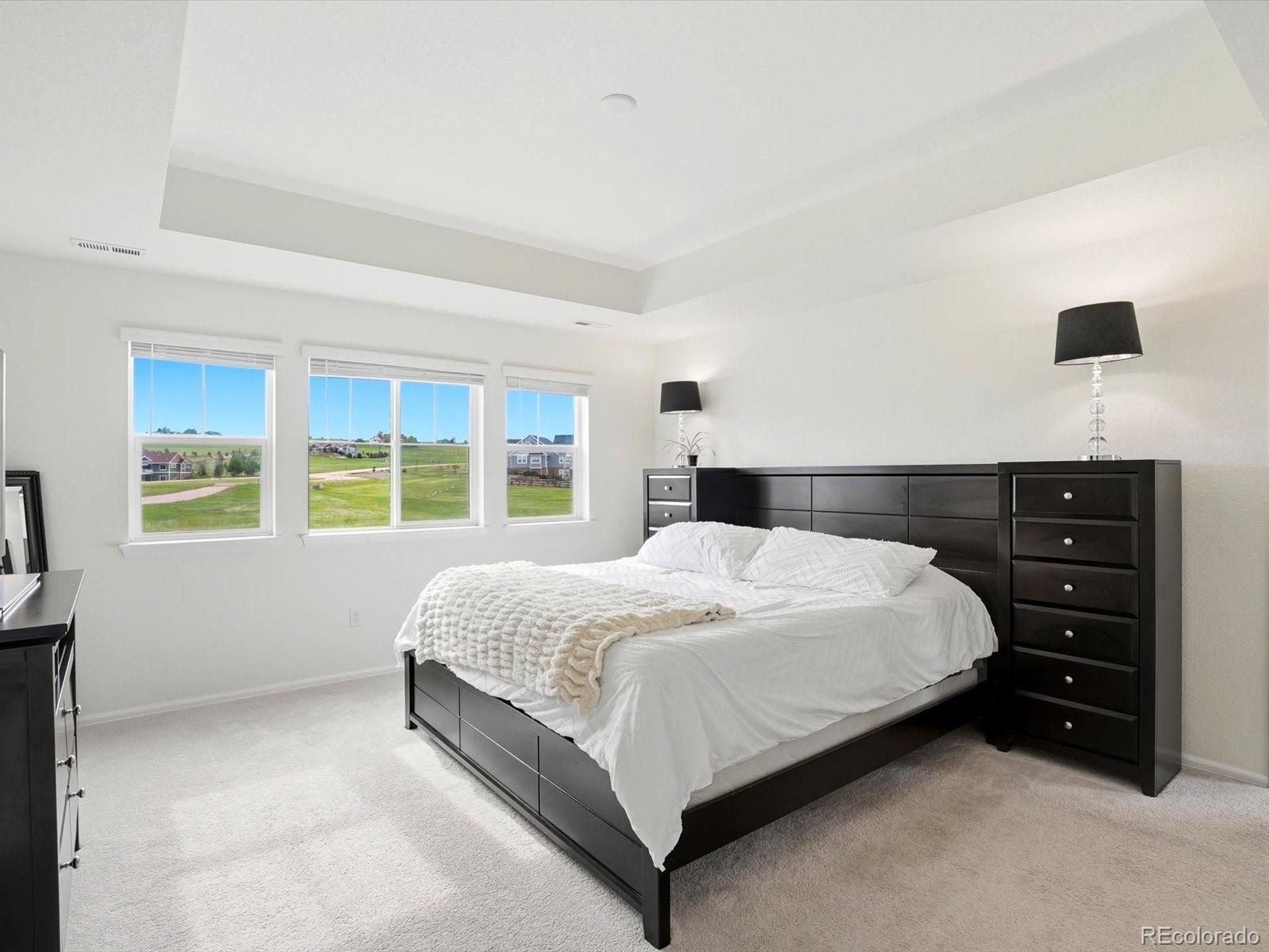 MLS Image #4 for 1313  black haw street,elizabeth, Colorado