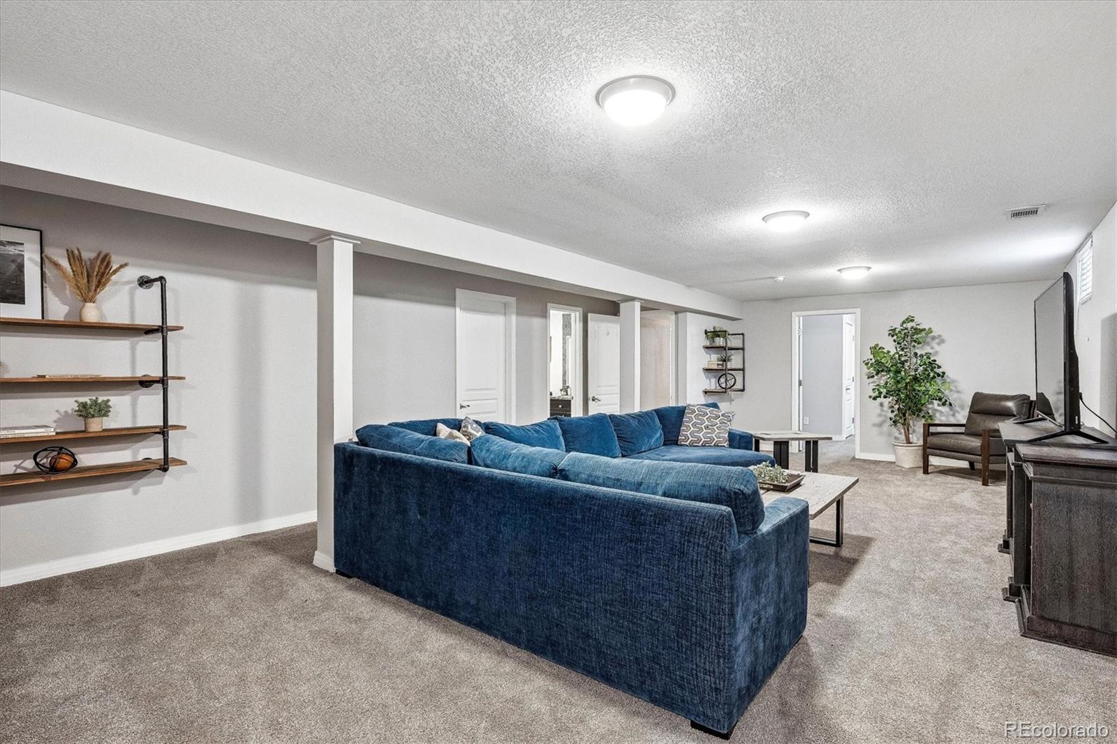 MLS Image #20 for 7124 s grant street,centennial, Colorado