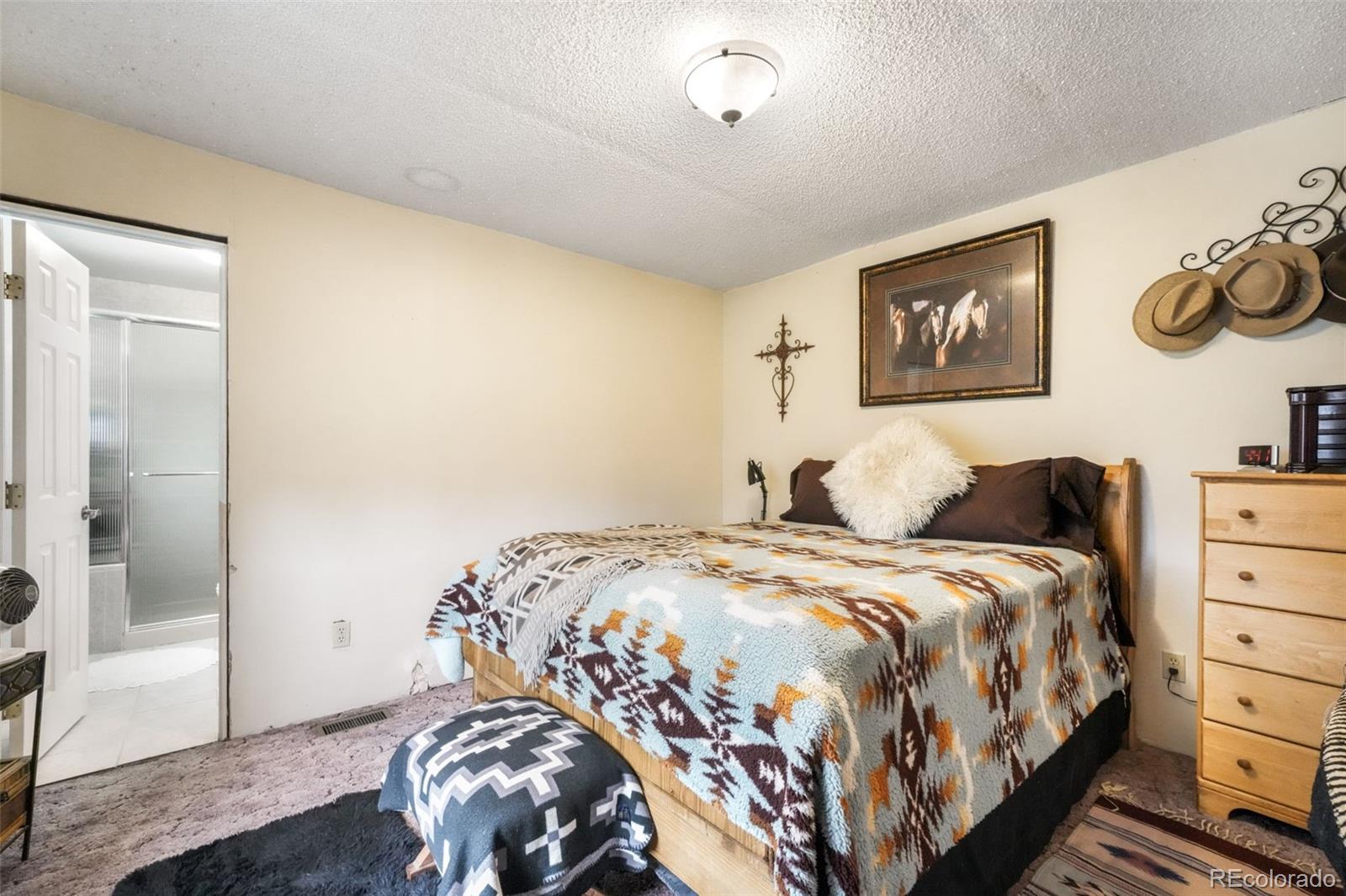 MLS Image #21 for 127  3rd street,monument, Colorado