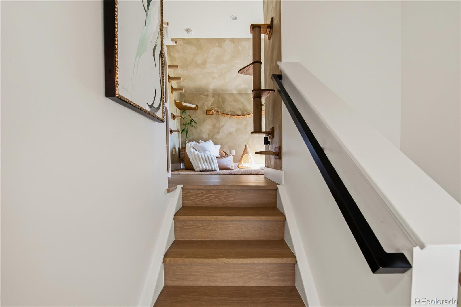 MLS Image #24 for 1417  zenobia street,denver, Colorado