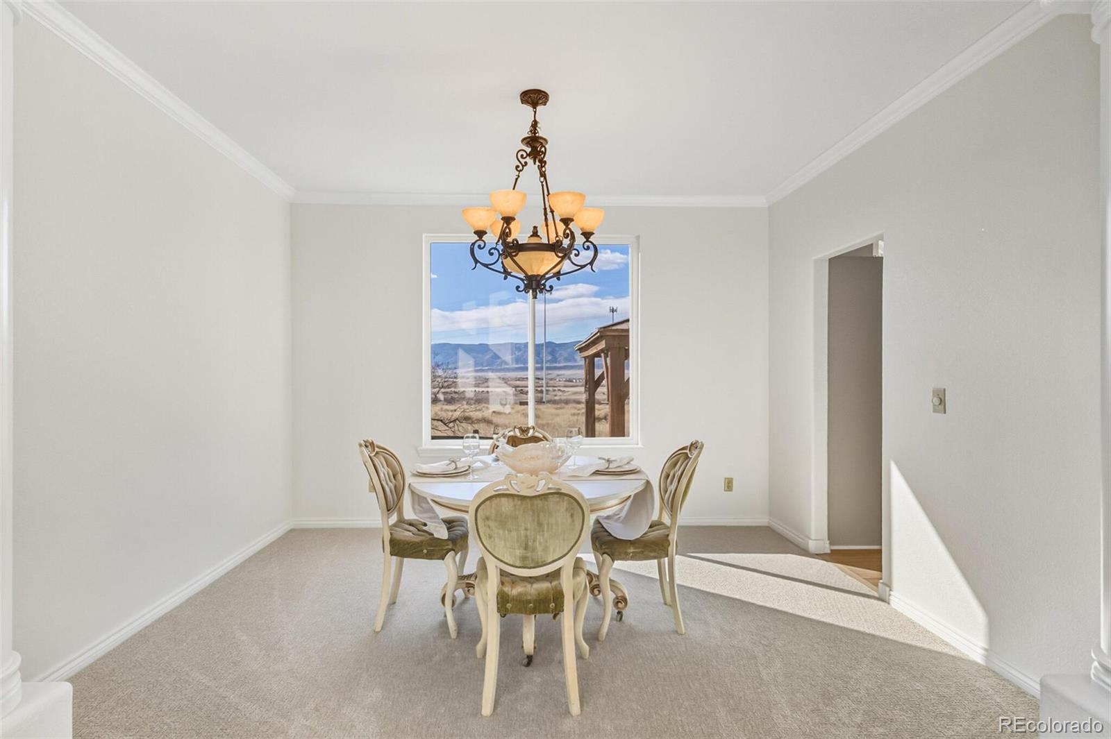 MLS Image #19 for 10275  baneberry place,highlands ranch, Colorado
