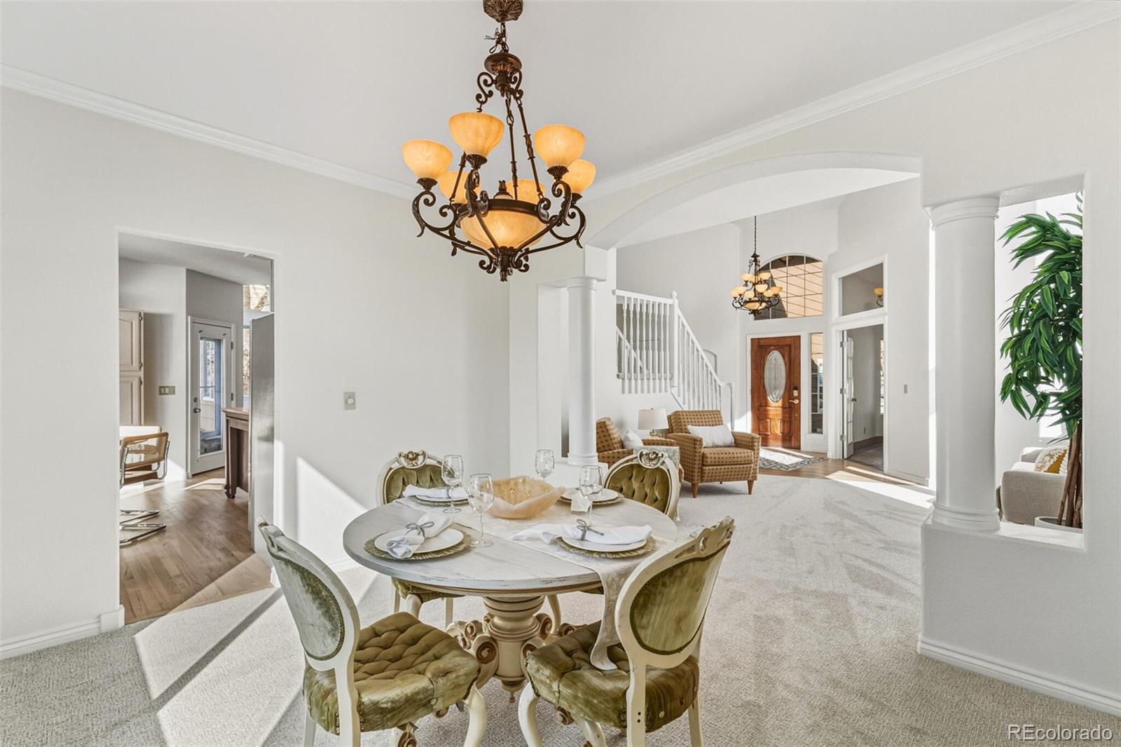 MLS Image #20 for 10275  baneberry place,highlands ranch, Colorado