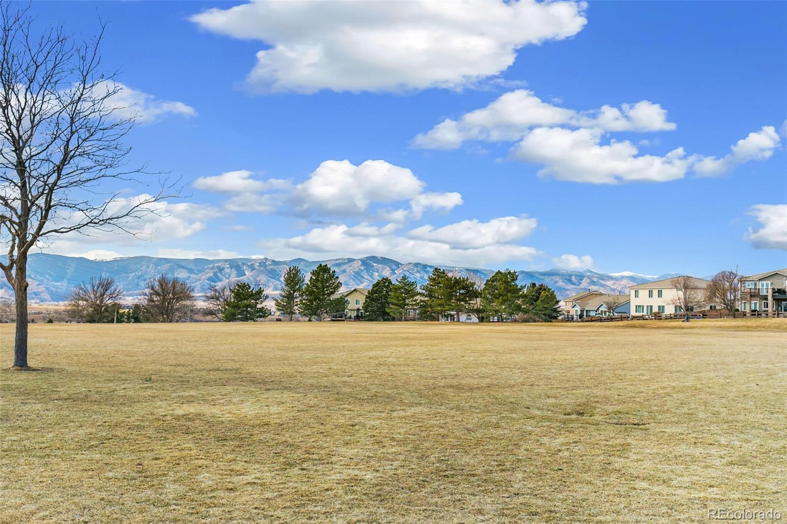 MLS Image #47 for 10275  baneberry place,highlands ranch, Colorado