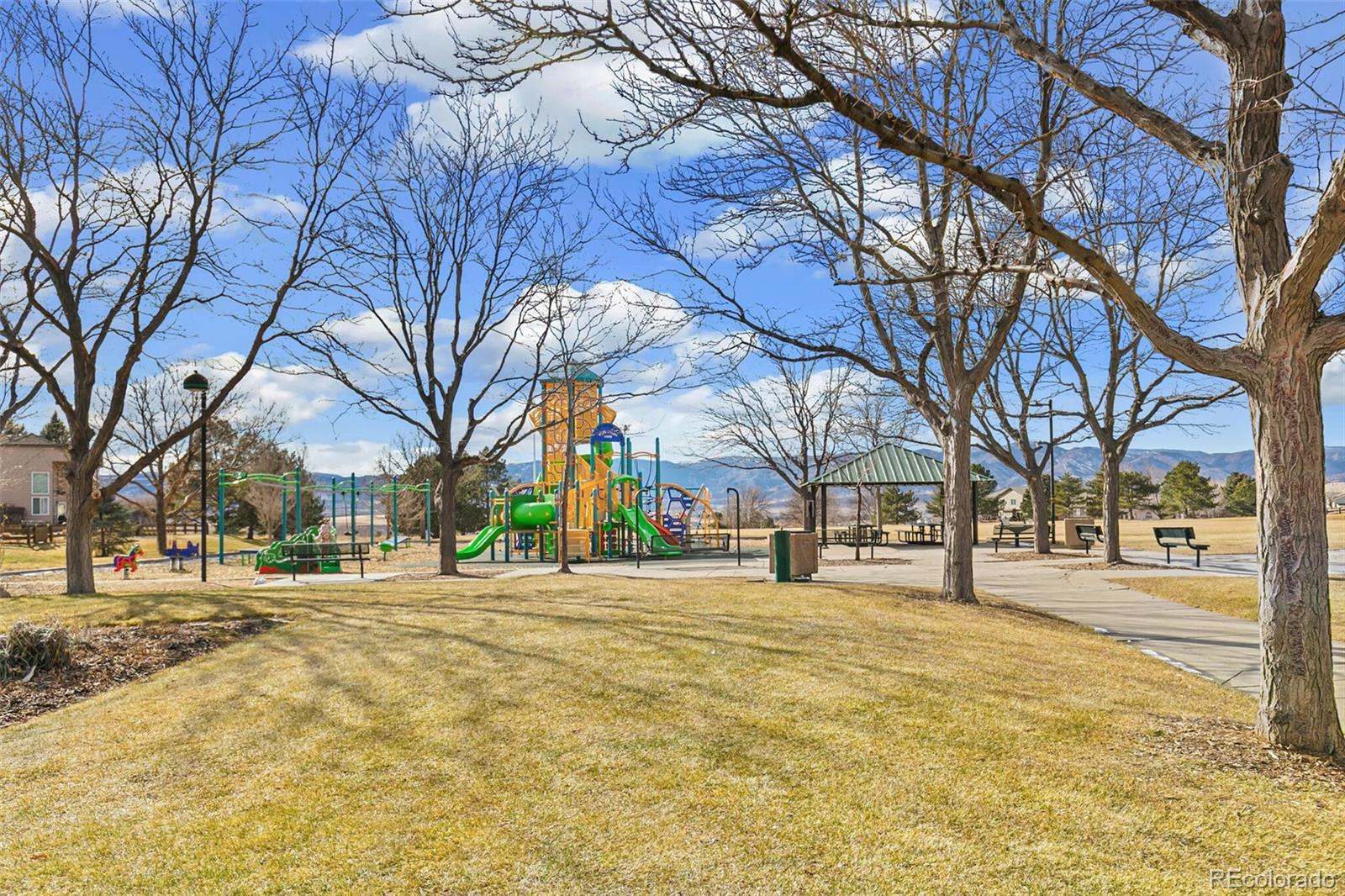 MLS Image #48 for 10275  baneberry place,highlands ranch, Colorado