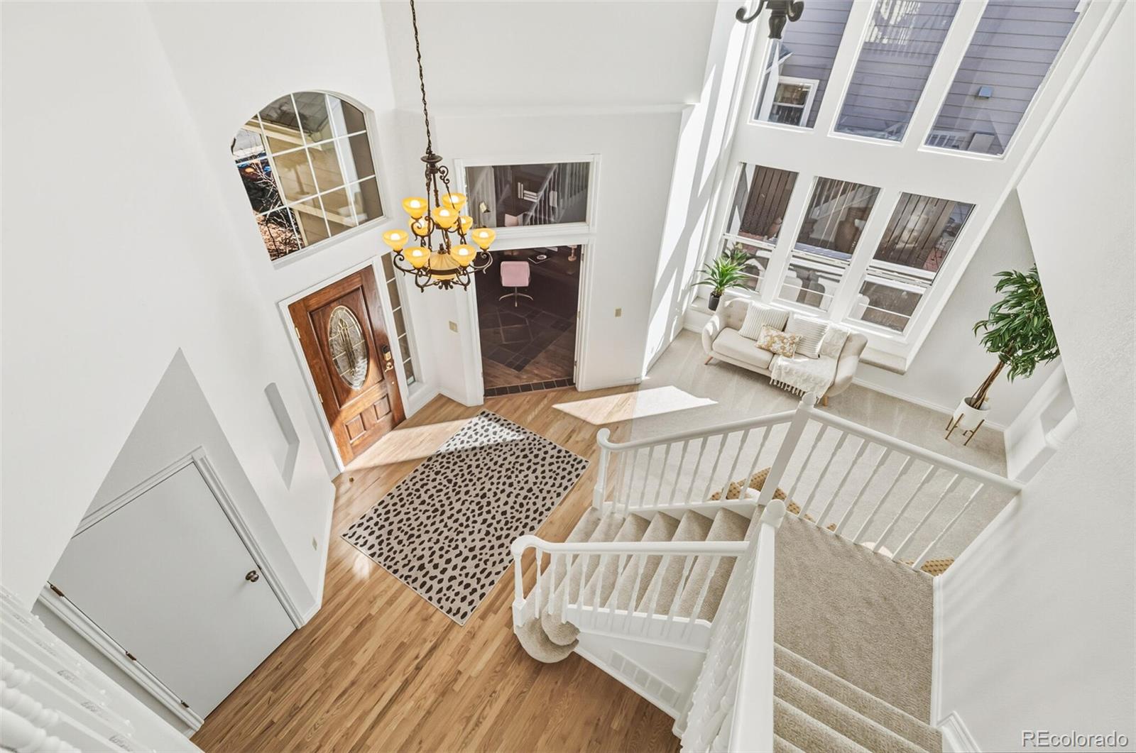 MLS Image #5 for 10275  baneberry place,highlands ranch, Colorado