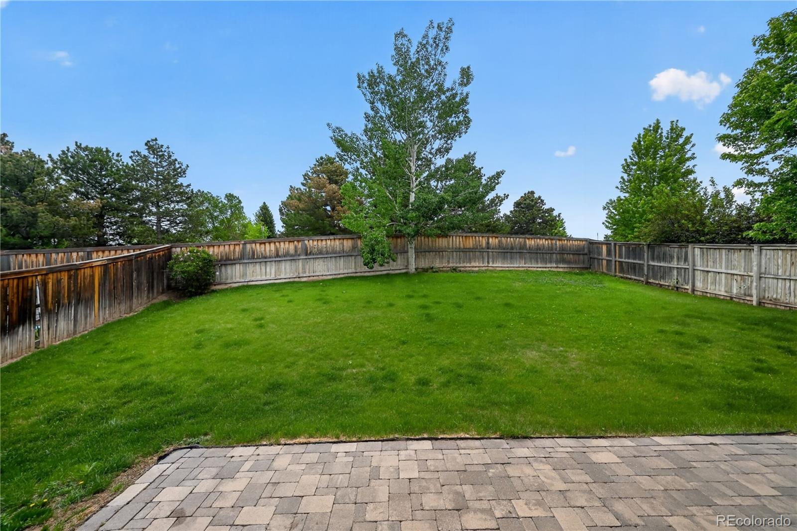 MLS Image #2 for 15804  greenstone lane,parker, Colorado
