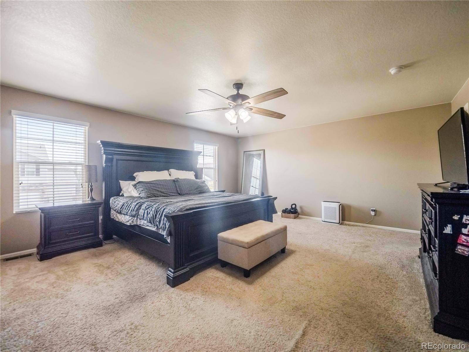 MLS Image #26 for 914  charlton drive,windsor, Colorado
