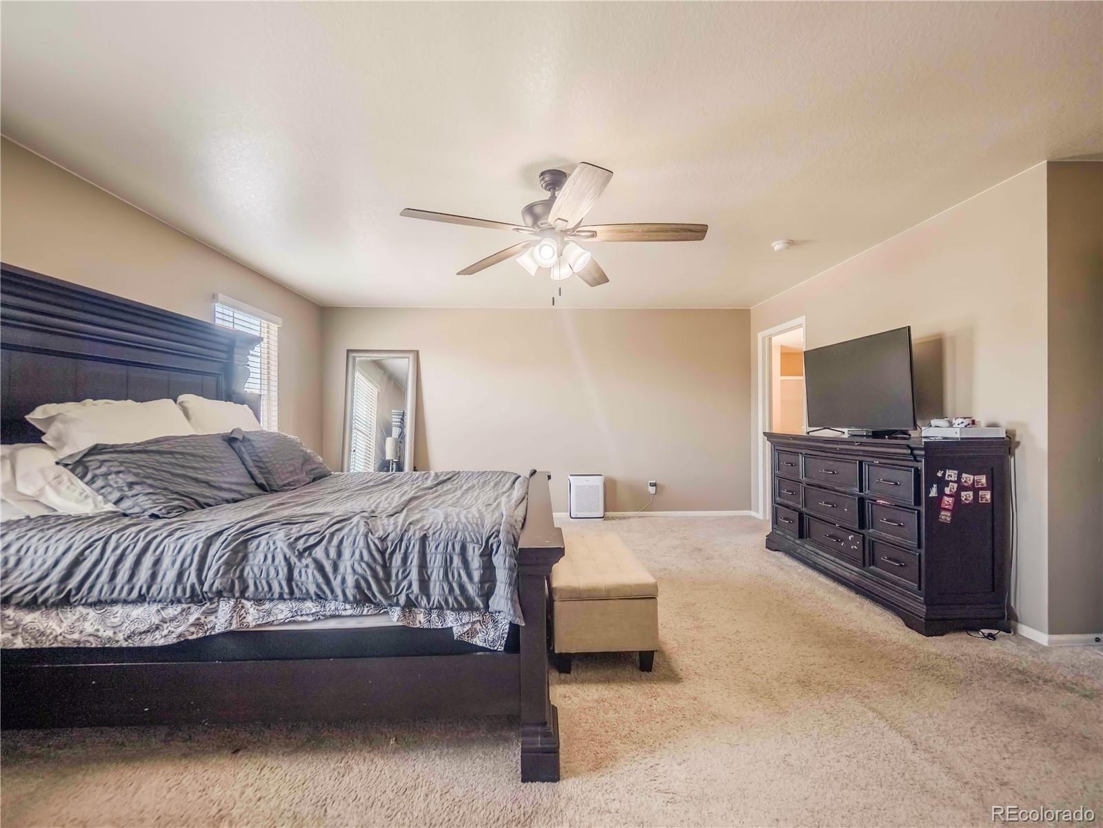 MLS Image #27 for 914  charlton drive,windsor, Colorado