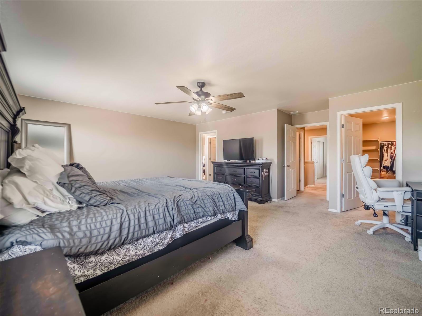 MLS Image #29 for 914  charlton drive,windsor, Colorado