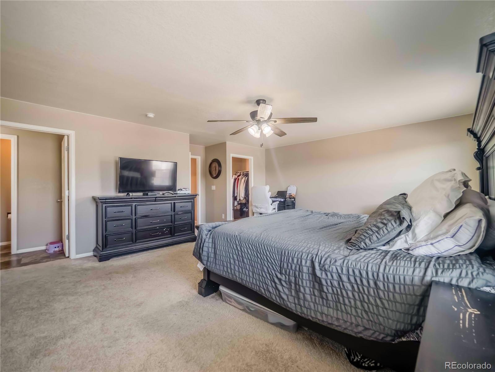 MLS Image #30 for 914  charlton drive,windsor, Colorado