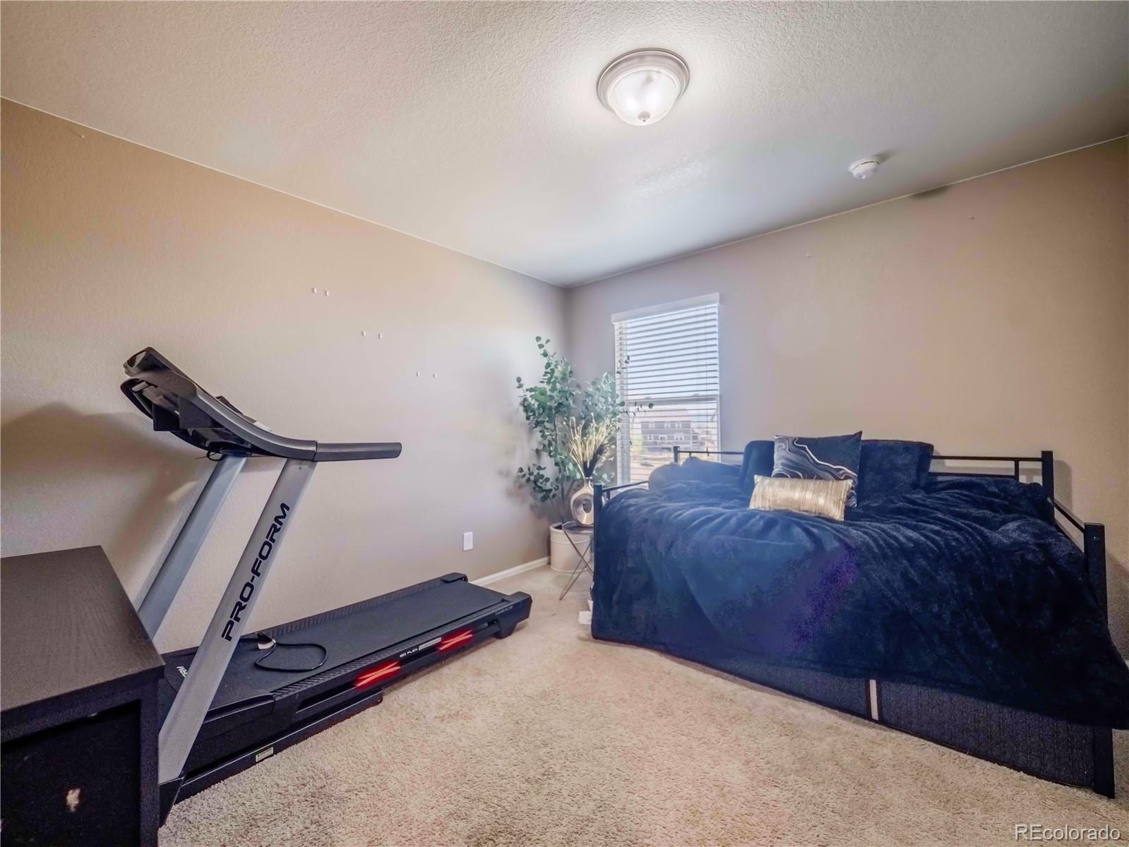 MLS Image #42 for 914  charlton drive,windsor, Colorado