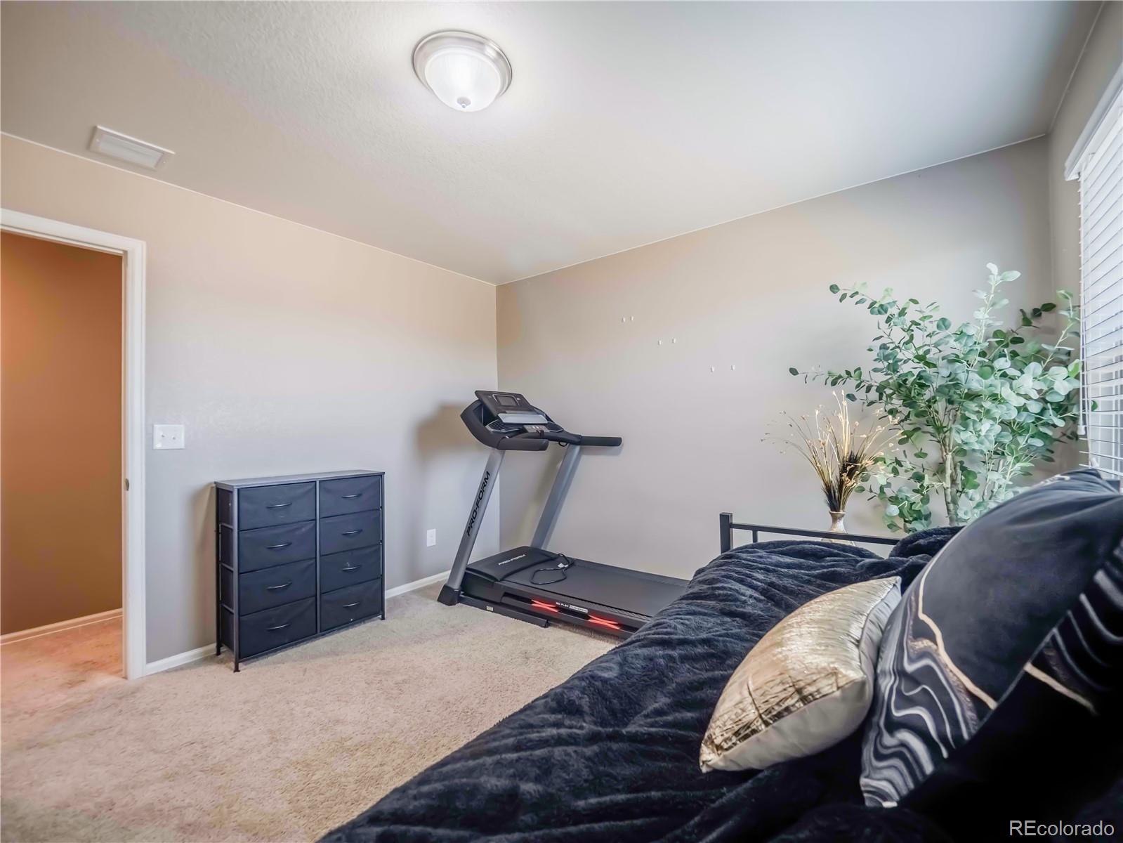 MLS Image #43 for 914  charlton drive,windsor, Colorado