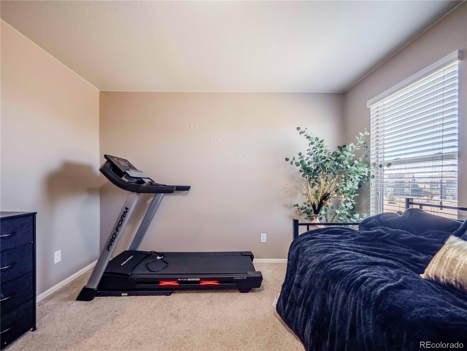 MLS Image #44 for 914  charlton drive,windsor, Colorado