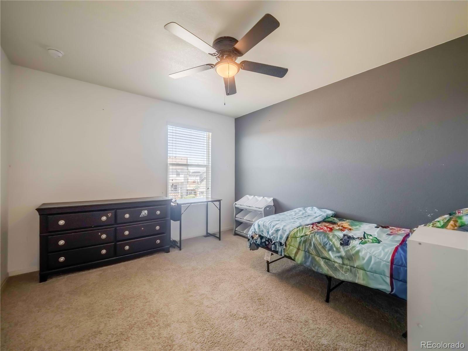 MLS Image #46 for 914  charlton drive,windsor, Colorado