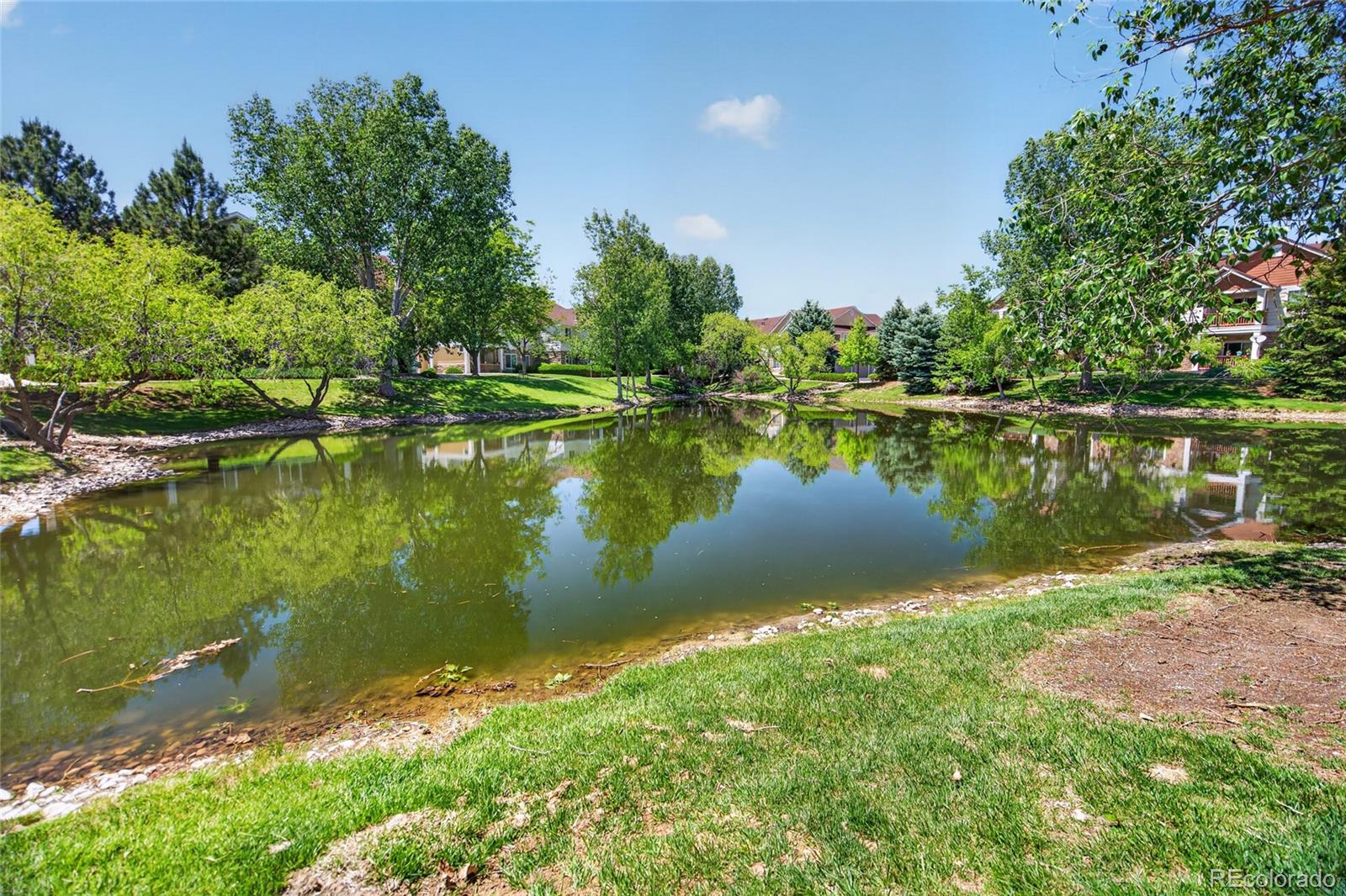 MLS Image #38 for 4825  hahns peak drive,loveland, Colorado