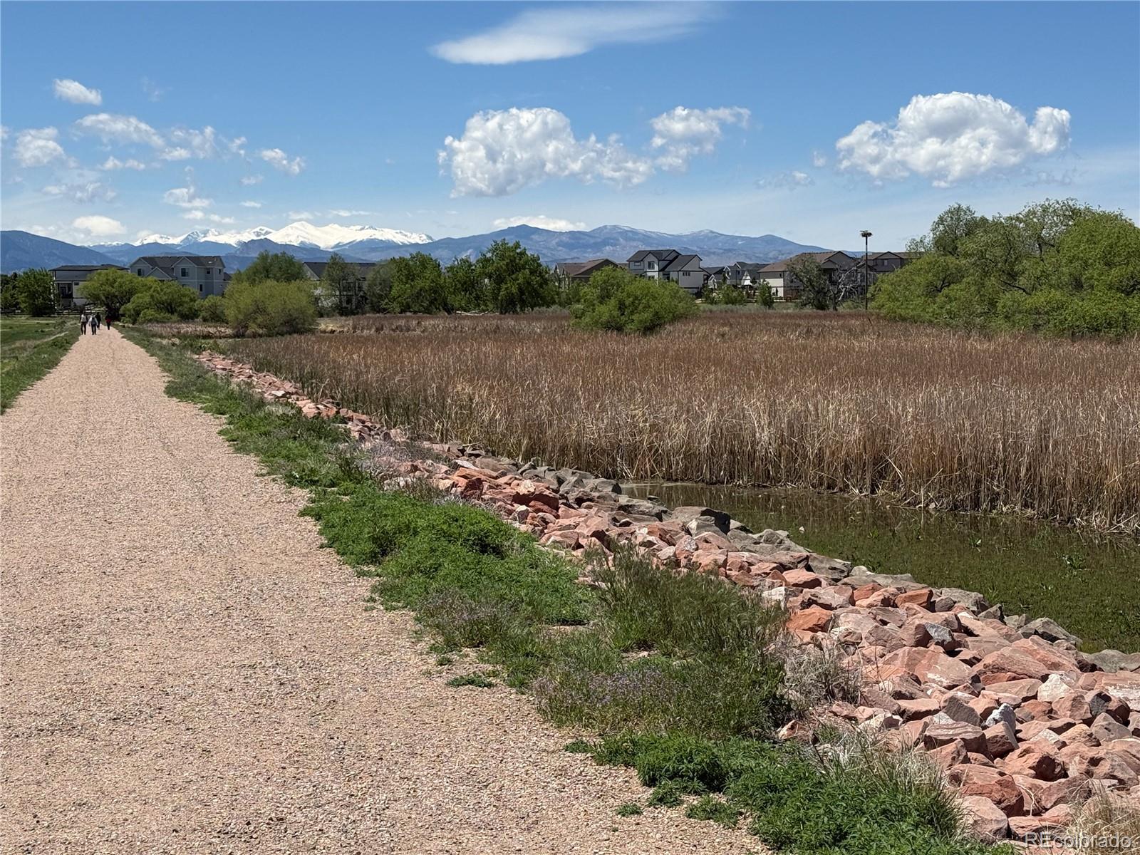 MLS Image #40 for 4825  hahns peak drive,loveland, Colorado