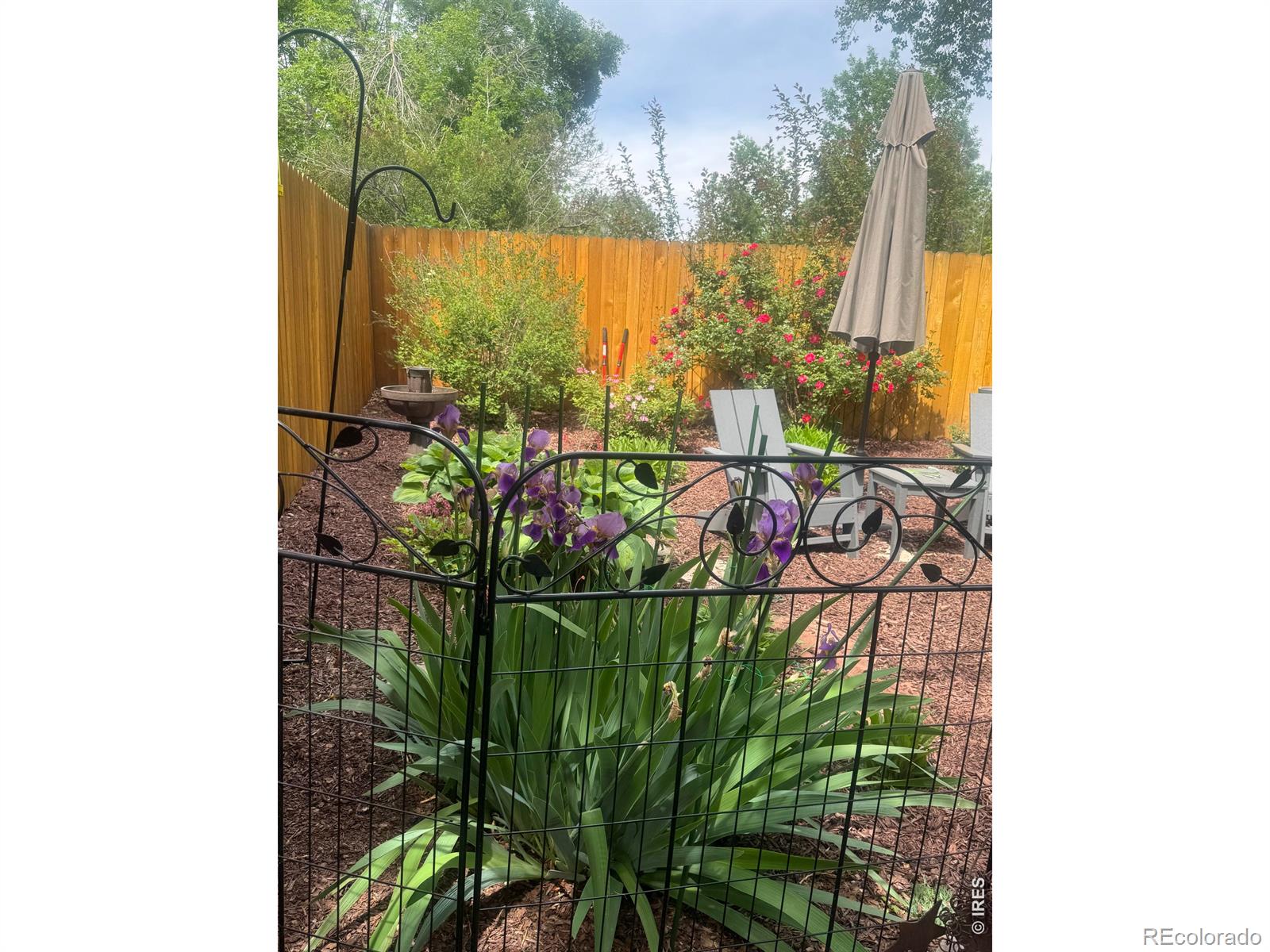 MLS Image #31 for 2637  flintridge place,fort collins, Colorado