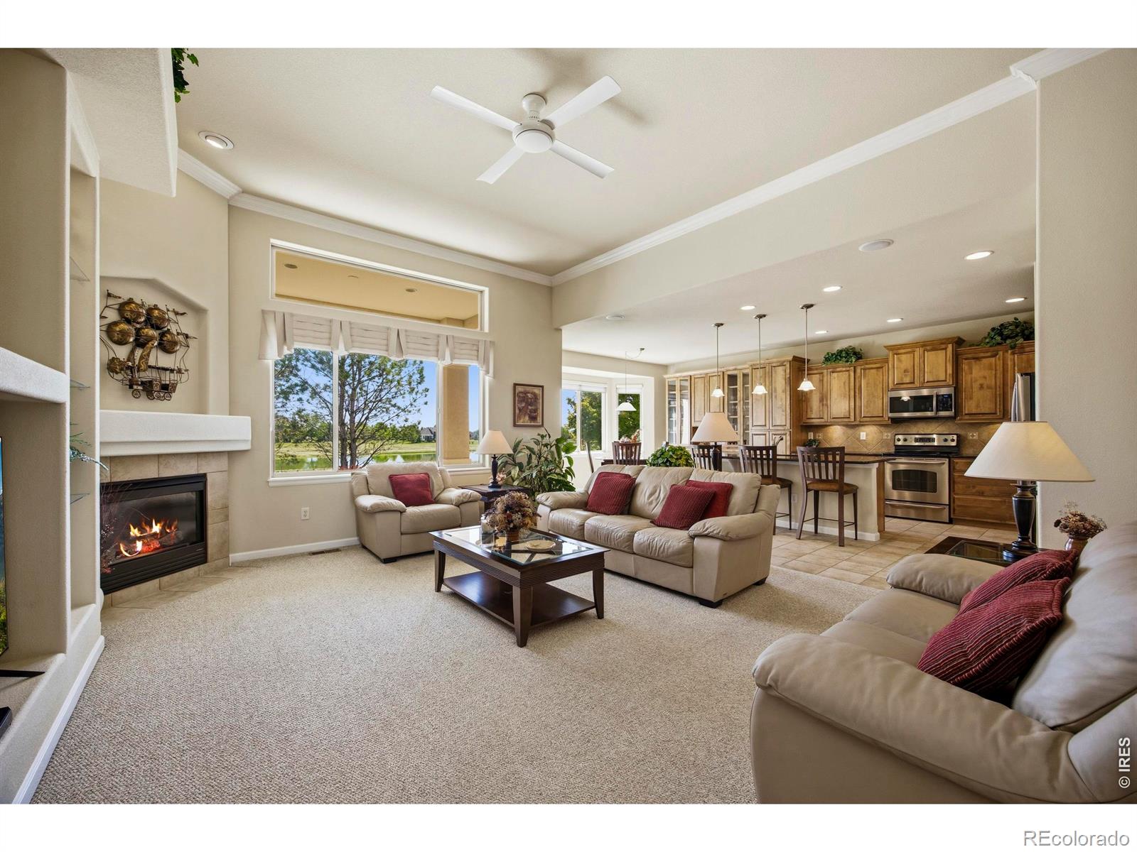 MLS Image #11 for 37018  soaring eagle circle,severance, Colorado