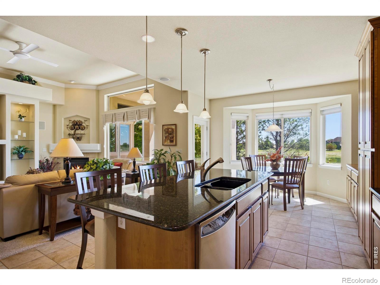 MLS Image #19 for 37018  soaring eagle circle,severance, Colorado