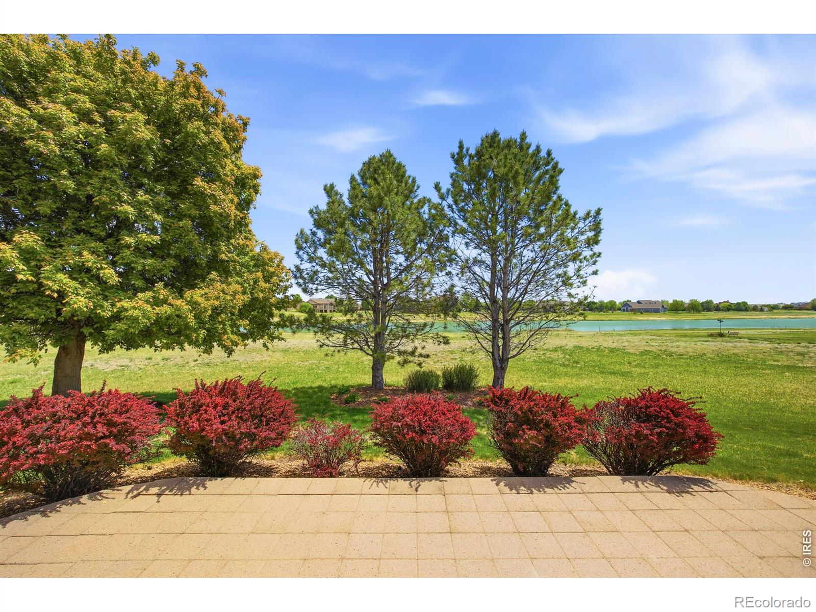 MLS Image #45 for 37018  soaring eagle circle,severance, Colorado
