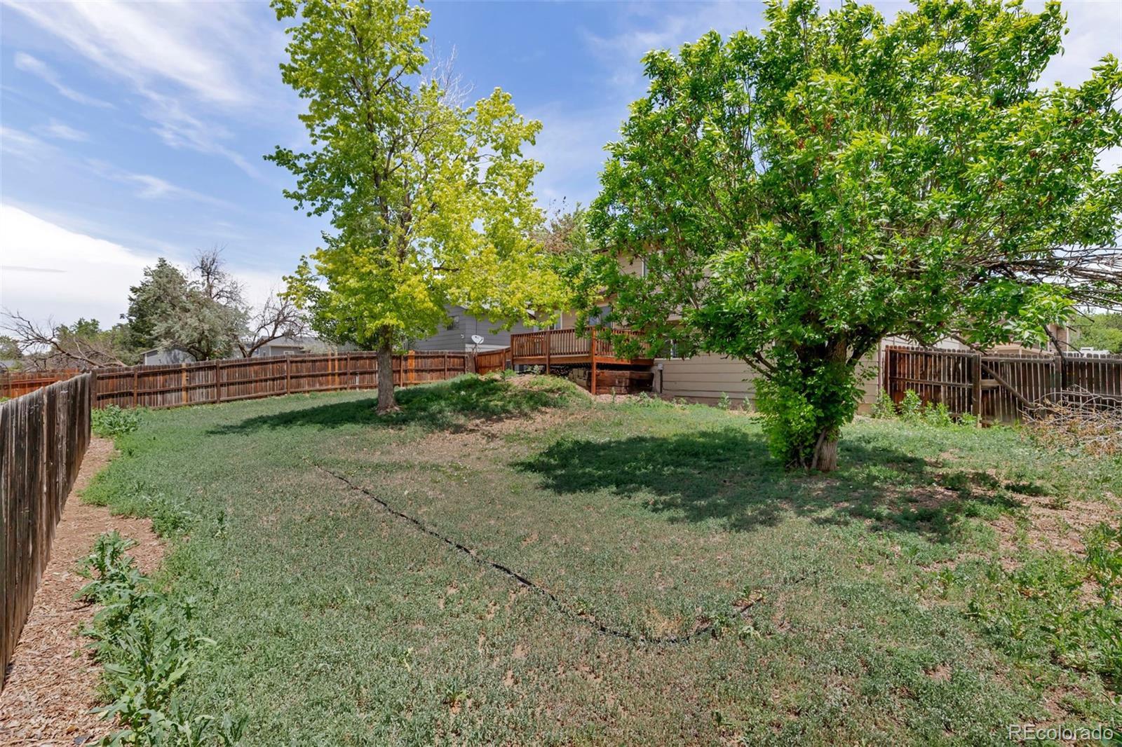 MLS Image #3 for 1589 s lewiston street,aurora, Colorado