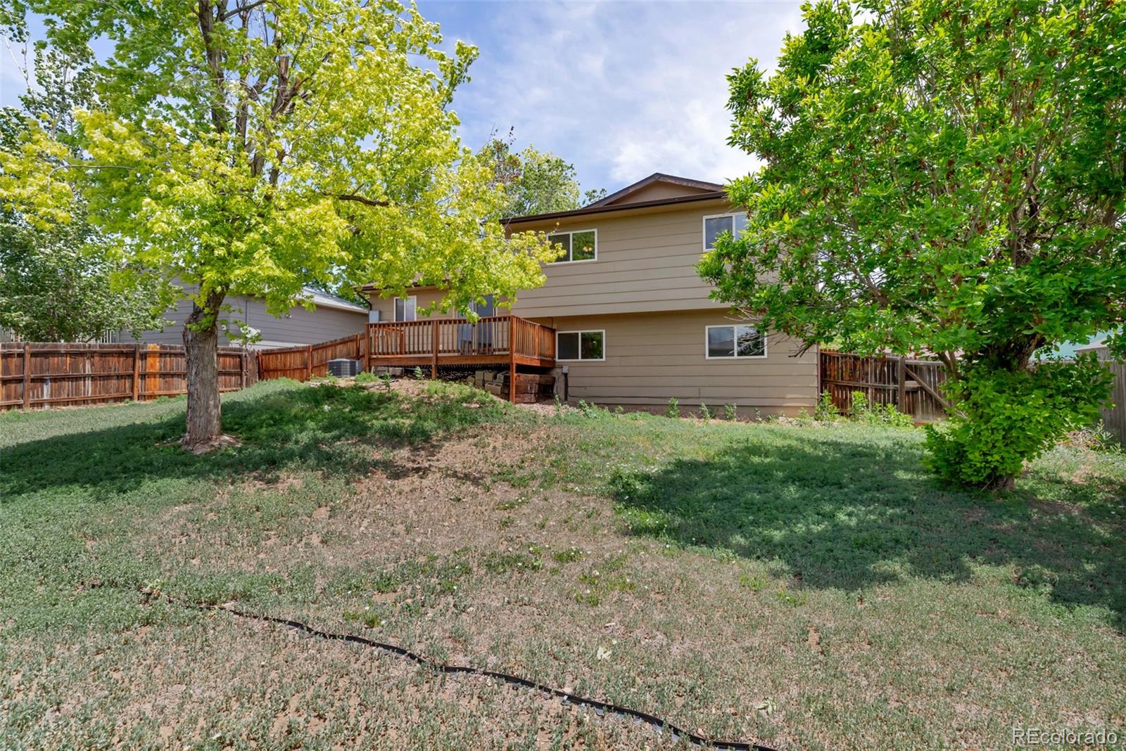 MLS Image #4 for 1589 s lewiston street,aurora, Colorado