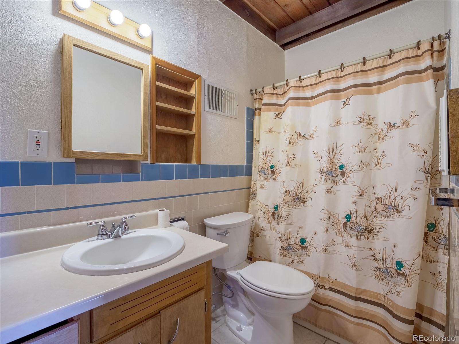 MLS Image #14 for 438  crossman avenue,buena vista, Colorado