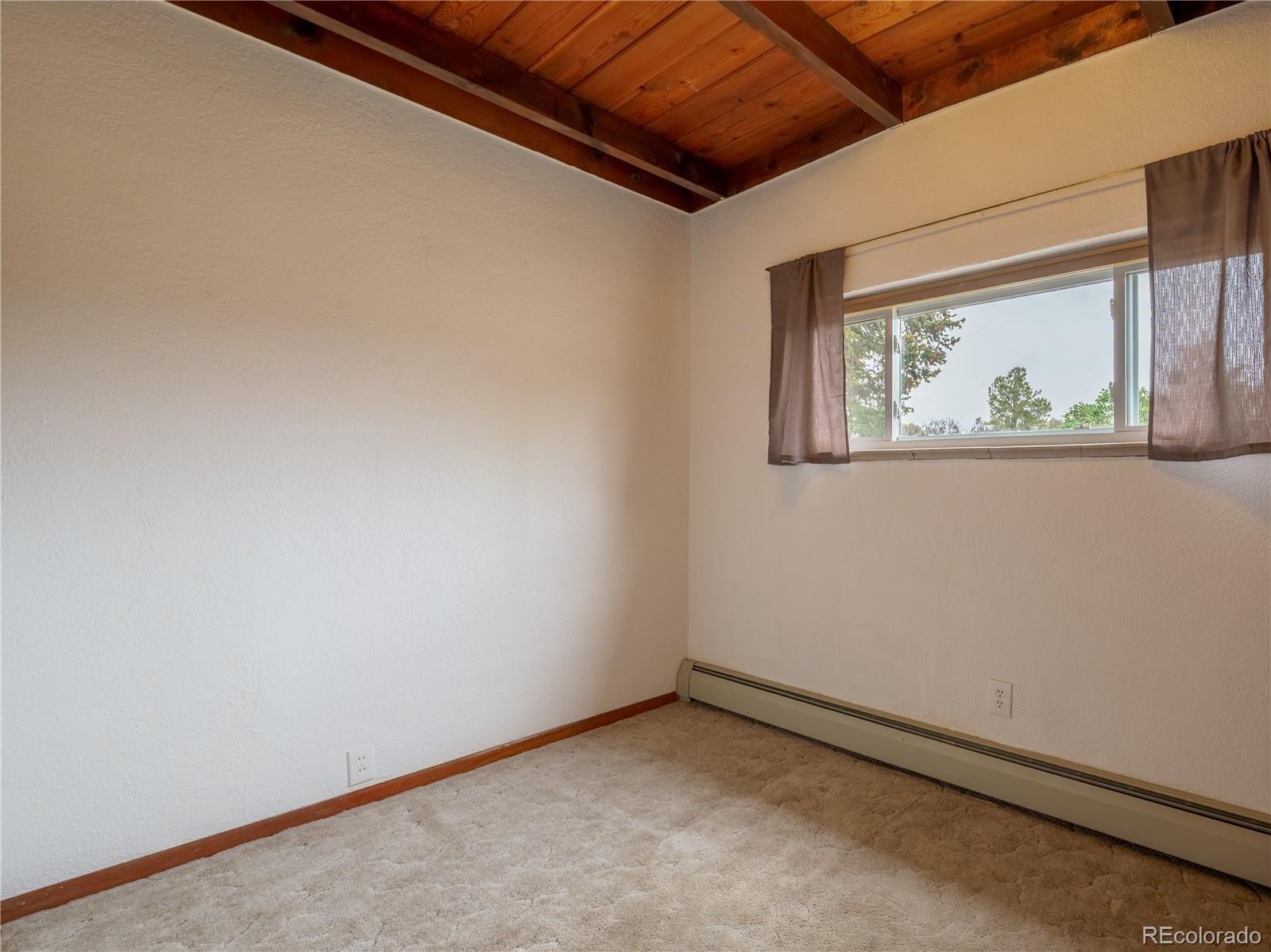 MLS Image #15 for 438  crossman avenue,buena vista, Colorado