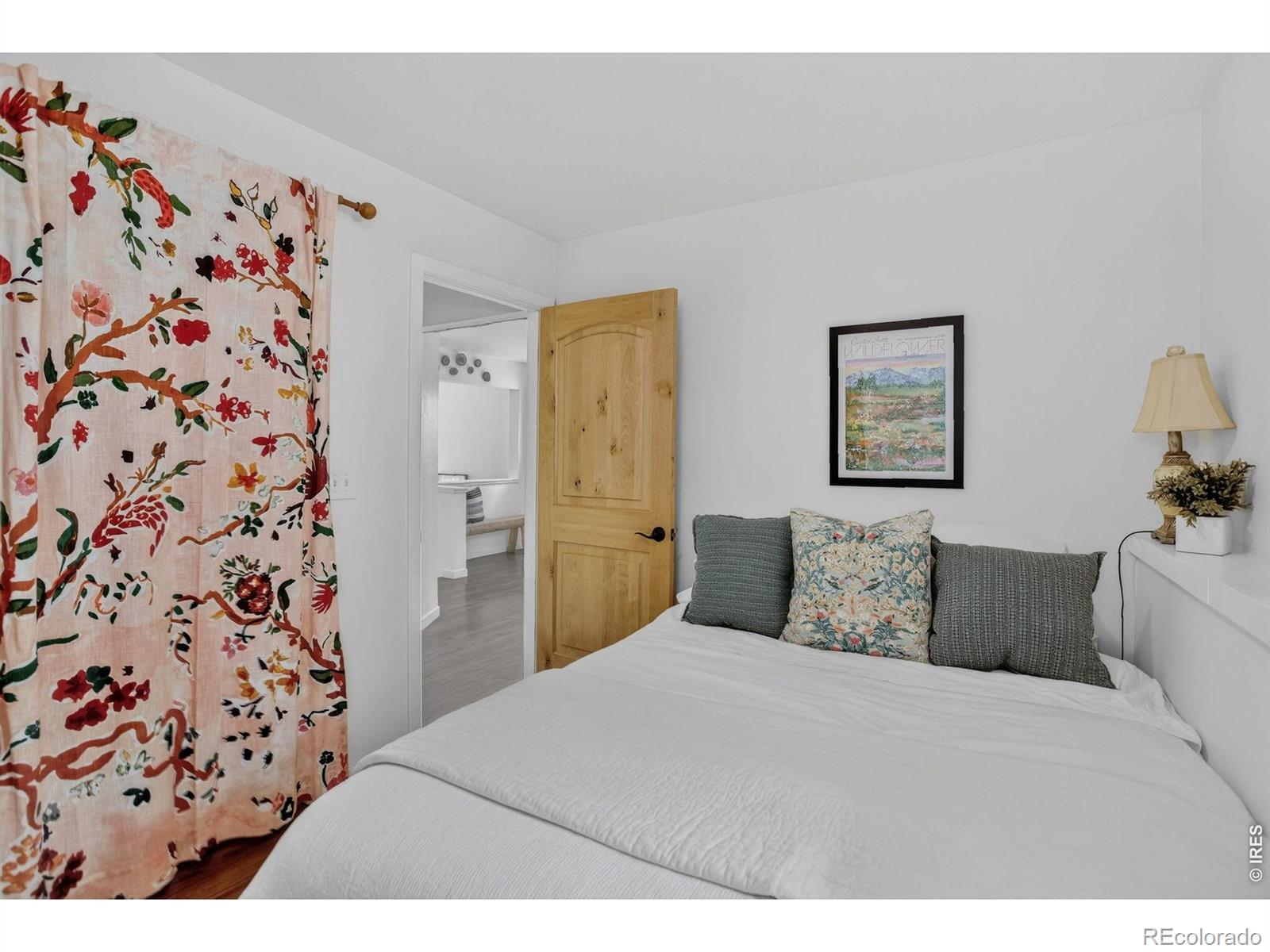 MLS Image #28 for 47  pyrite way,lyons, Colorado