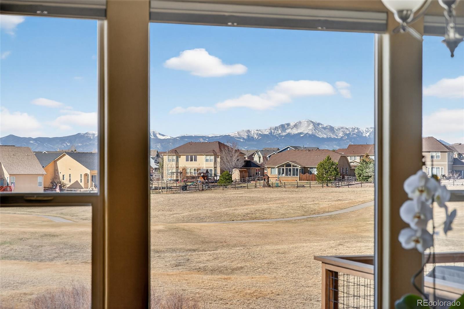 MLS Image #10 for 10862  torreys peak way,peyton, Colorado