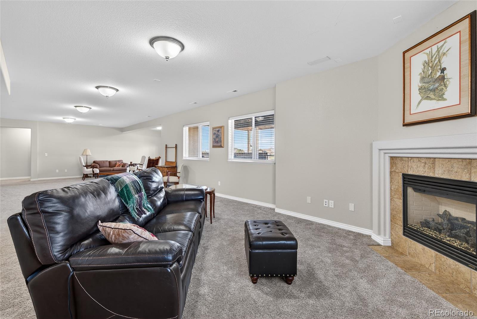 MLS Image #29 for 10862  torreys peak way,peyton, Colorado