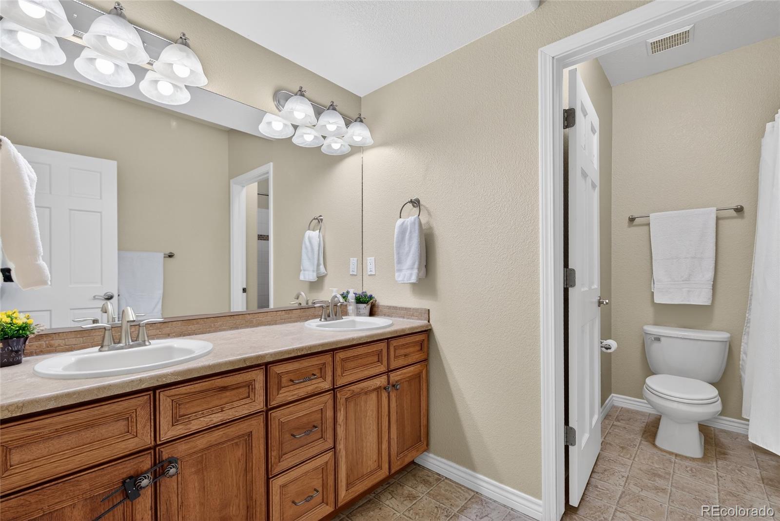 MLS Image #30 for 10862  torreys peak way,peyton, Colorado
