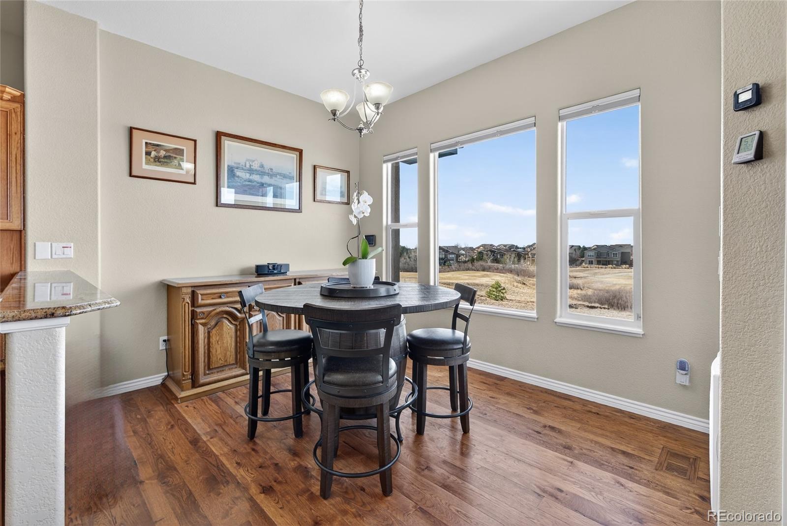 MLS Image #9 for 10862  torreys peak way,peyton, Colorado