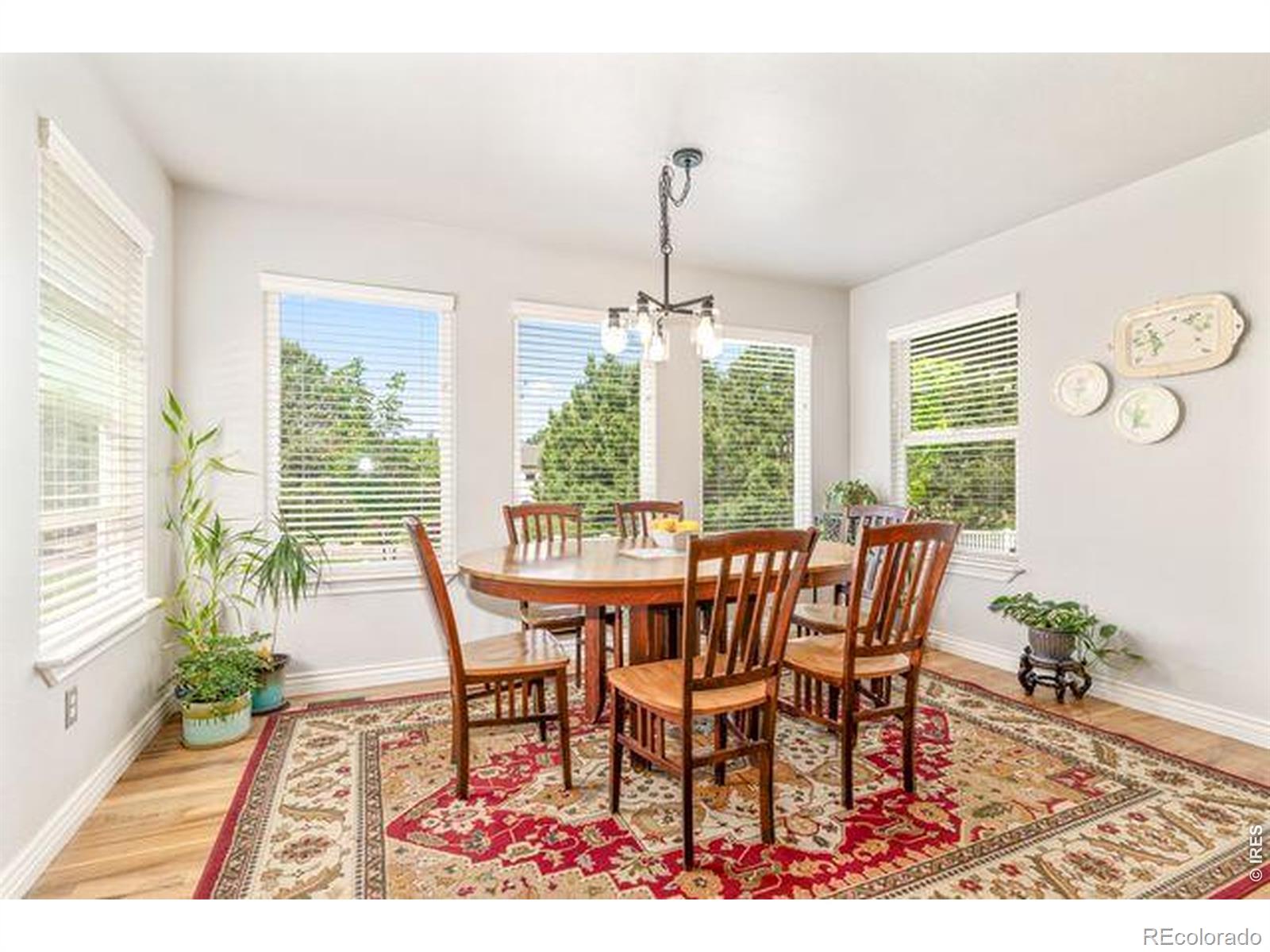 MLS Image #8 for 404  cascade court,johnstown, Colorado