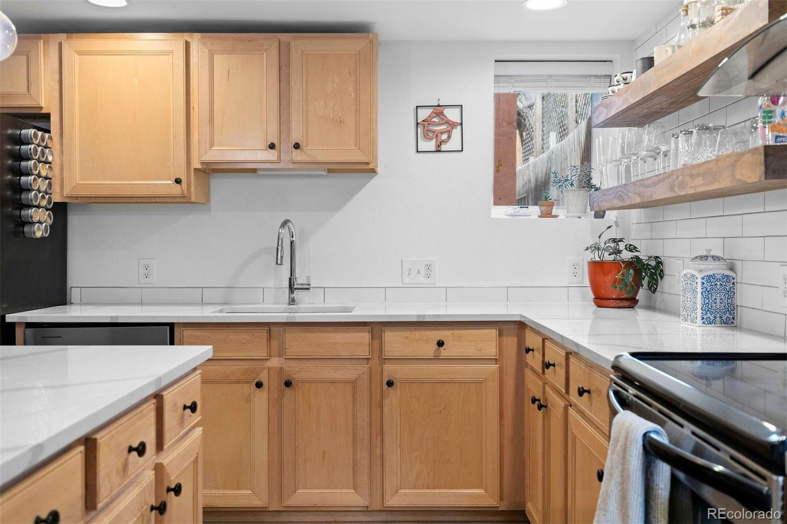MLS Image #14 for 1101  gaylord street,denver, Colorado