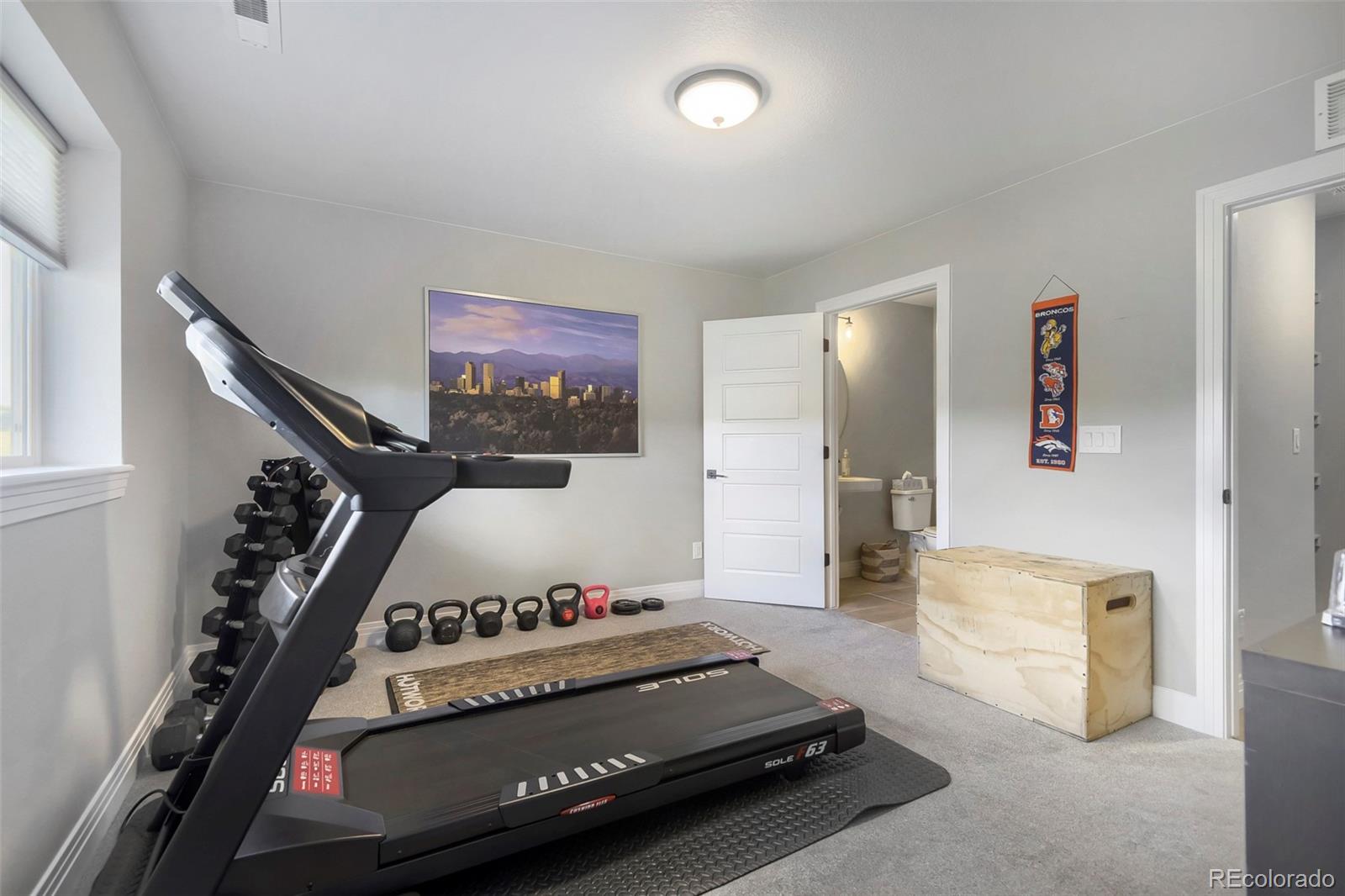 MLS Image #13 for 4355  cyan circle,castle rock, Colorado