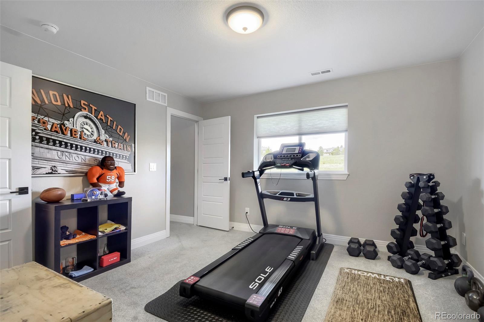 MLS Image #14 for 4355  cyan circle,castle rock, Colorado