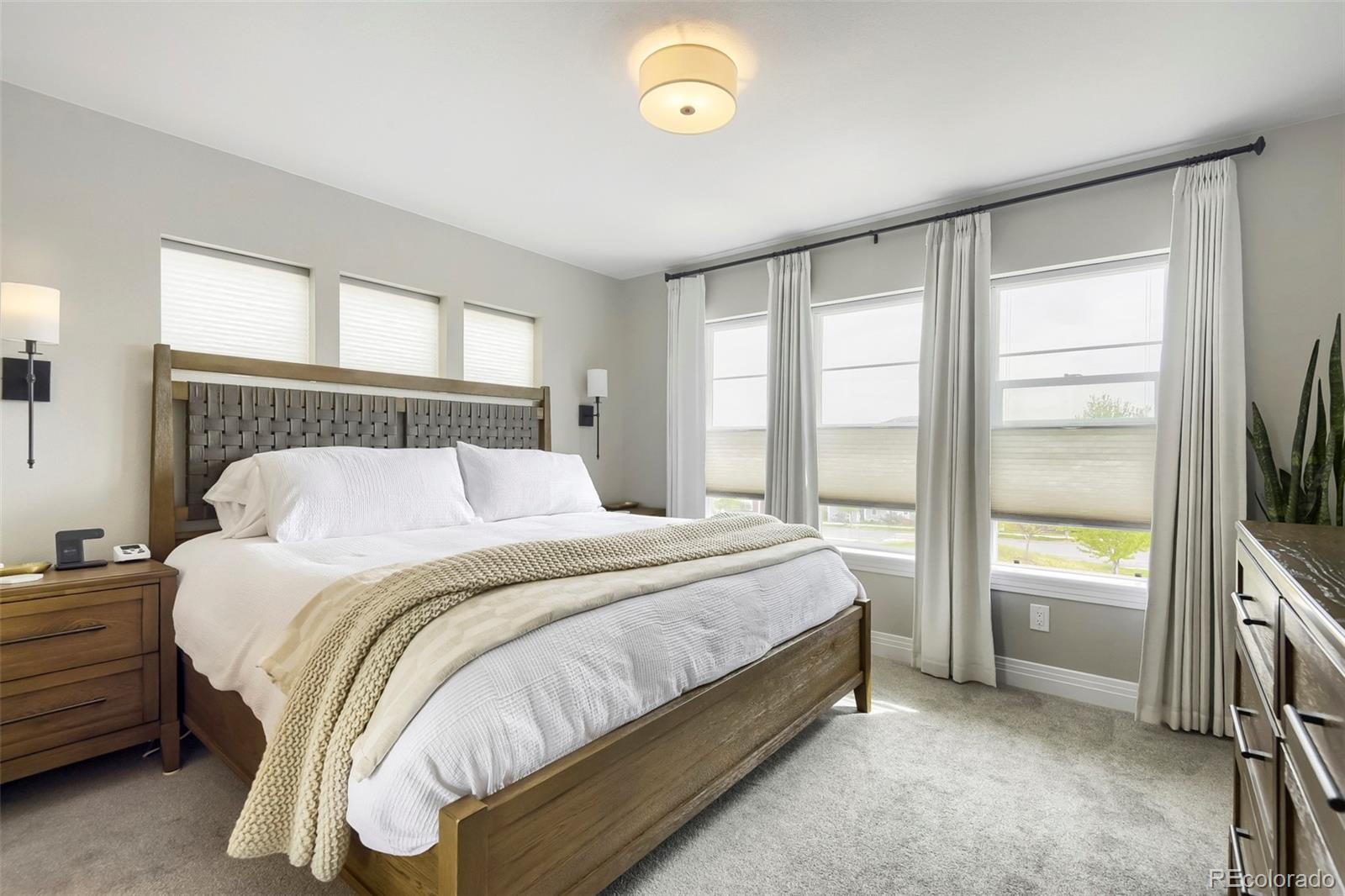 MLS Image #18 for 4355  cyan circle,castle rock, Colorado