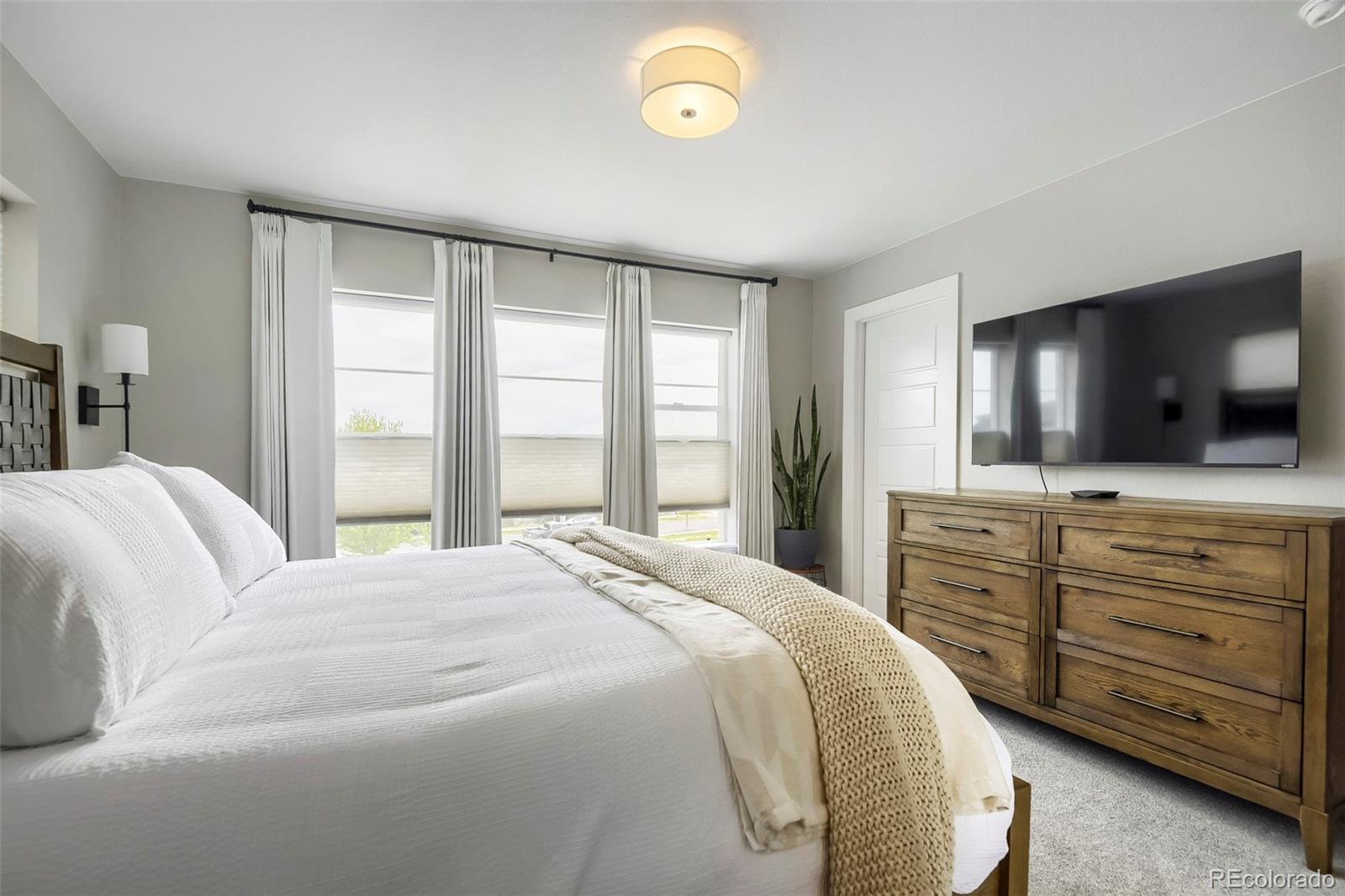 MLS Image #19 for 4355  cyan circle,castle rock, Colorado
