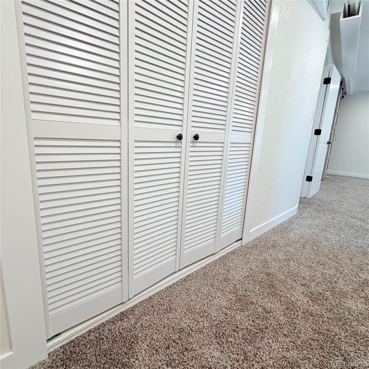 MLS Image #37 for 2826  dharma avenue,broomfield, Colorado