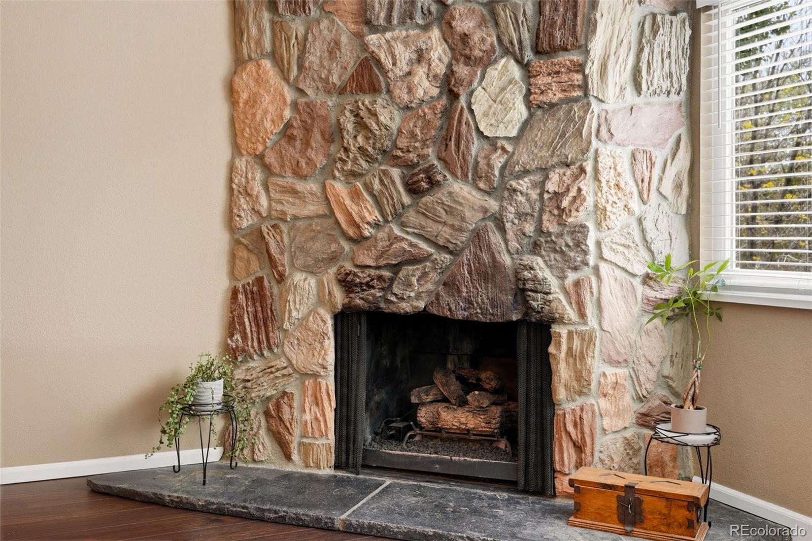 MLS Image #9 for 8040  windwood way,parker, Colorado