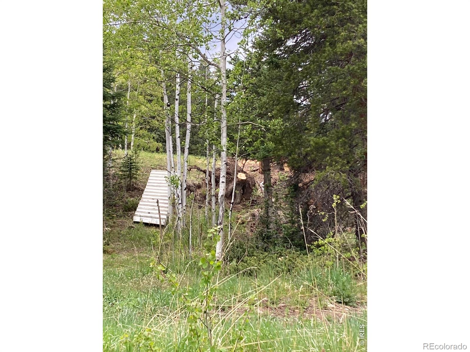 MLS Image #14 for 1064  cold springs road,nederland, Colorado