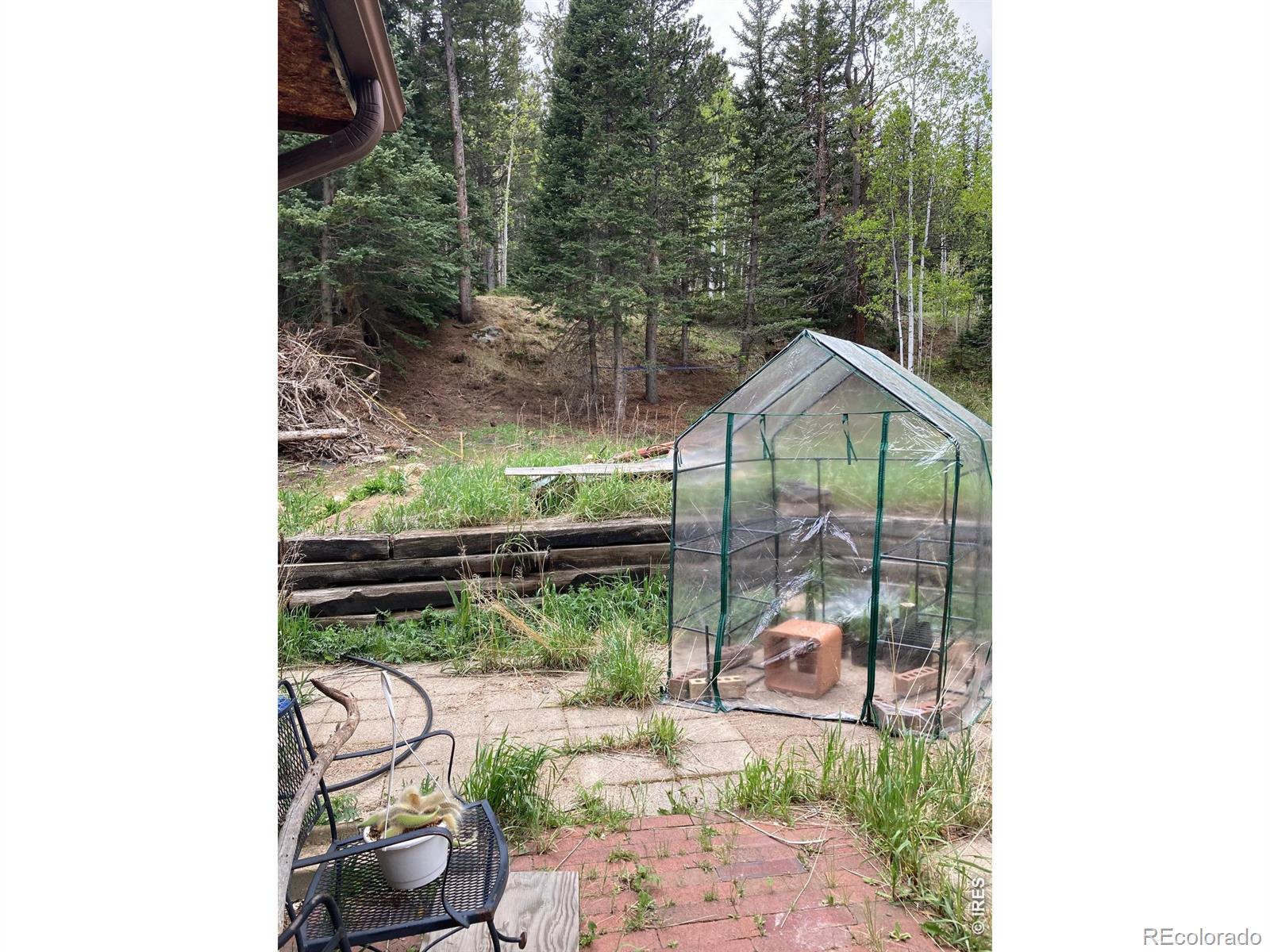 MLS Image #15 for 1064  cold springs road,nederland, Colorado