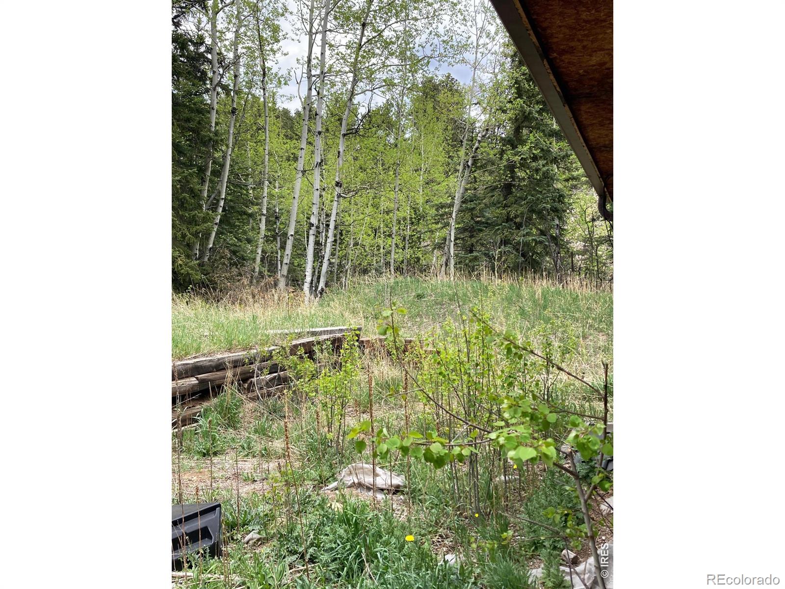 MLS Image #18 for 1064  cold springs road,nederland, Colorado