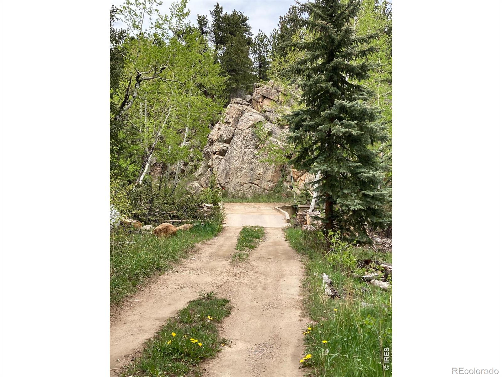 MLS Image #41 for 1064  cold springs road,nederland, Colorado