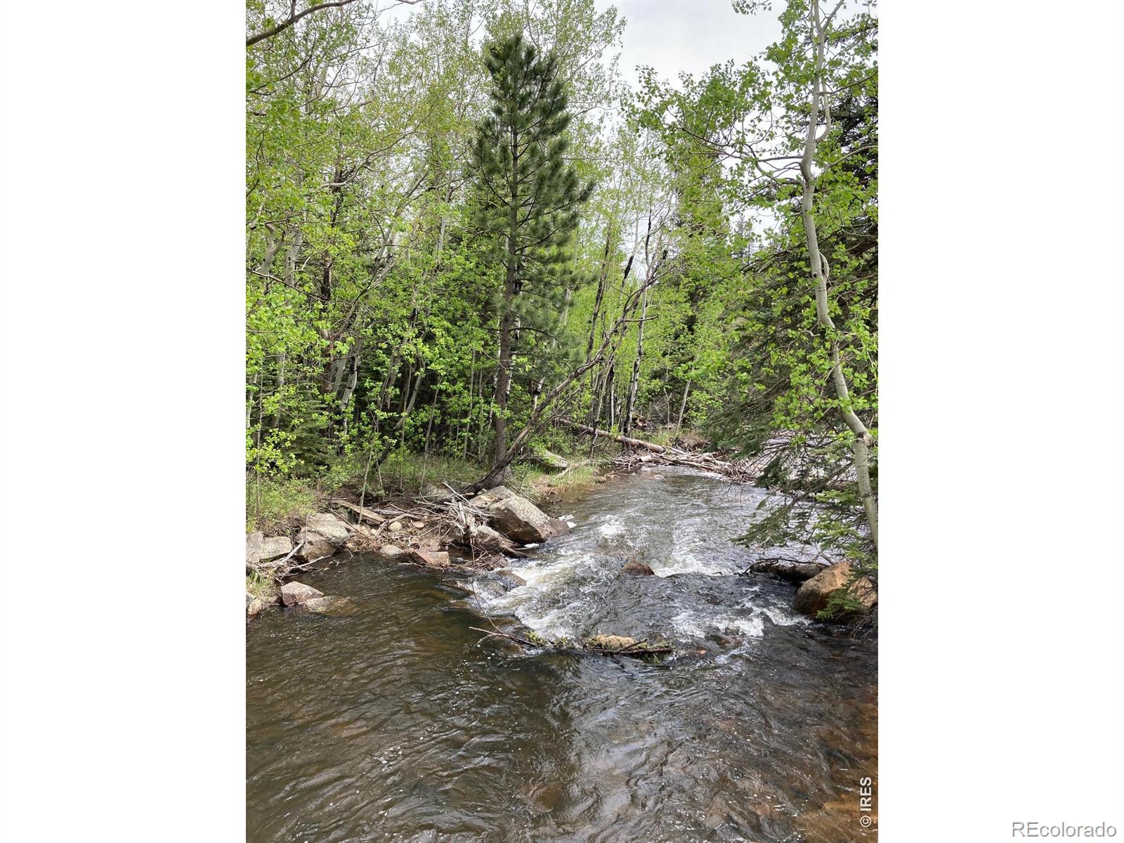 MLS Image #46 for 1064  cold springs road,nederland, Colorado